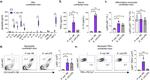 TNF alpha Antibody in Flow Cytometry (Flow)