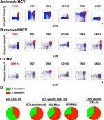 CD160 Antibody in Flow Cytometry (Flow)