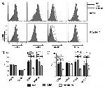 CD40 Antibody in Flow Cytometry (Flow)