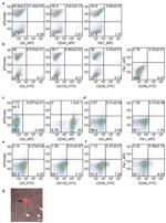 CD34 Antibody in Flow Cytometry (Flow)