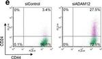 Rat IgG2b kappa Isotype Control in Flow Cytometry (Flow)