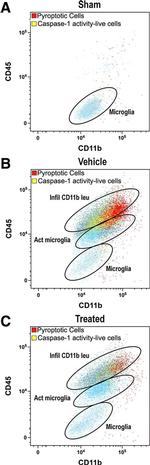 Rat IgG2a kappa Isotype Control in Flow Cytometry (Flow)