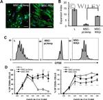 CD3 Antibody in Flow Cytometry (Flow)