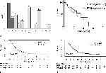 IFIT3 Antibody in Immunohistochemistry (IHC)