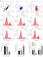 CD206 (MMR) Antibody in Flow Cytometry (Flow)