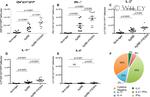 IL-2 Antibody in Flow Cytometry (Flow)