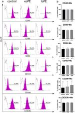 CX3CR1 Antibody in Flow Cytometry (Flow)