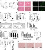 CD3 Antibody in Flow Cytometry (Flow)