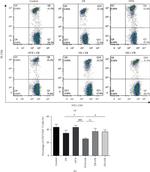 CD3 Antibody in Flow Cytometry (Flow)