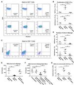 CD178 (Fas Ligand) Antibody in Flow Cytometry (Flow)