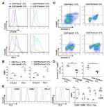 CD178 (Fas Ligand) Antibody in Flow Cytometry (Flow)