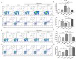 CD4 Antibody in Flow Cytometry (Flow)