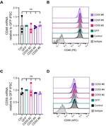 CD59 (Protectin) Antibody in Flow Cytometry (Flow)