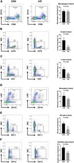 NK1.1 Antibody in Flow Cytometry (Flow)