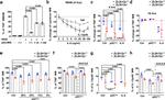 TNF alpha Antibody in Flow Cytometry (Flow)