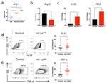 TNF alpha Antibody in Flow Cytometry (Flow)