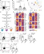 TIGIT Antibody in Flow Cytometry (Flow)