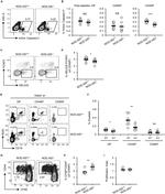 HELIOS Antibody in Flow Cytometry (Flow)