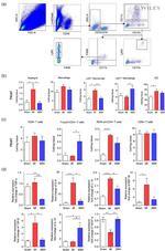 FOXP3 Antibody in Flow Cytometry (Flow)