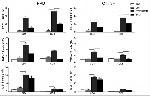 TNF alpha Antibody in Flow Cytometry (Flow)