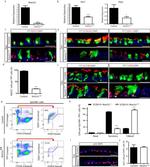 CD326 (EpCAM) Antibody in Flow Cytometry (Flow)