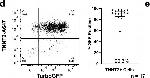 Mouse IgG (H+L) Cross-Adsorbed Secondary Antibody in Flow Cytometry (Flow)