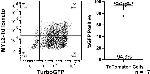 Mouse IgG (H+L) Cross-Adsorbed Secondary Antibody in Flow Cytometry (Flow)