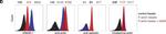 Mouse IgG (H+L) Cross-Adsorbed Secondary Antibody in Flow Cytometry (Flow)