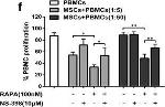 Mouse IgG1 kappa Isotype Control in Flow Cytometry (Flow)