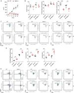 CD4 Antibody in Flow Cytometry (Flow)