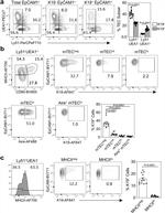 CD249 (BP-1) Antibody in Flow Cytometry (Flow)