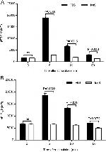 Phospho-ERK1/2 (Thr202, Tyr204) Antibody in Flow Cytometry (Flow)