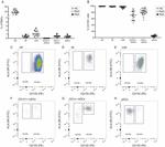 CD1c Antibody in Flow Cytometry (Flow)