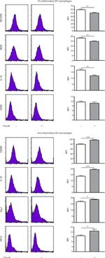 CD206 (MMR) Antibody in Flow Cytometry (Flow)