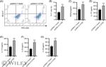 IL-17A Antibody in Flow Cytometry (Flow)