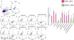 CD11b Antibody in Flow Cytometry (Flow)