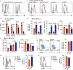 CD11b Antibody in Flow Cytometry (Flow)