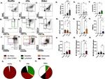 CD11c Antibody in Flow Cytometry (Flow)