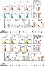 CD206 (MMR) Antibody in Flow Cytometry (Flow)