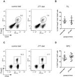 FOXP3 Antibody in Flow Cytometry (Flow)