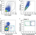 CD326 (EpCAM) Antibody in Flow Cytometry (Flow)