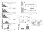 CD8a Antibody in Flow Cytometry (Flow)