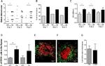 CD19 Antibody in Flow Cytometry (Flow)