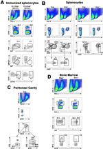 CD95 (APO-1/Fas) Antibody in Flow Cytometry (Flow)