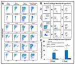 CD90.2 (Thy-1.2) Antibody in Flow Cytometry (Flow)