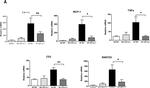 CD11c Antibody in Flow Cytometry (Flow)