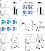 CD3 Antibody in Flow Cytometry (Flow)