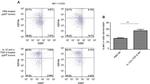 CD27 Antibody in Flow Cytometry (Flow)