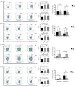 IL-17A Antibody in Flow Cytometry (Flow)