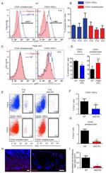 CD24 Antibody in Flow Cytometry (Flow)